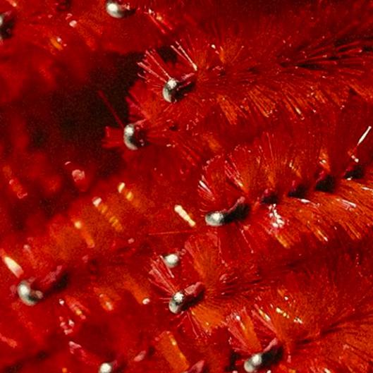 All Done Up Membership